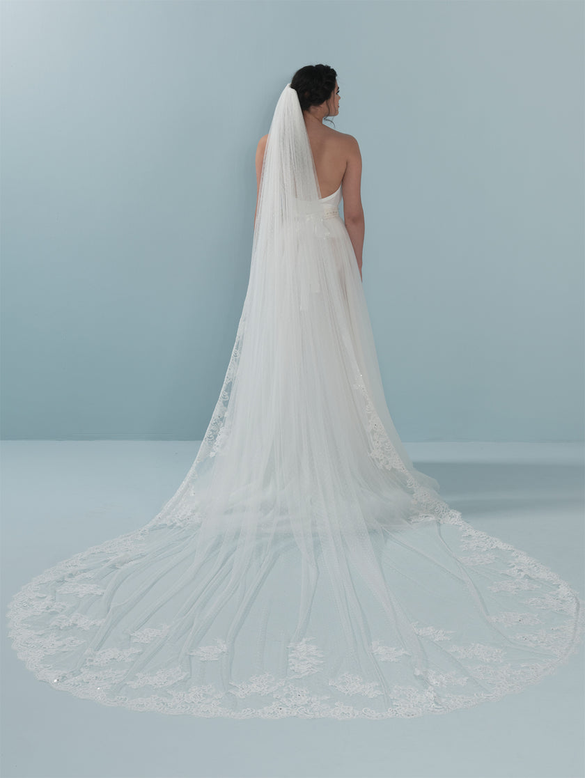 Sweet Bridal Veil